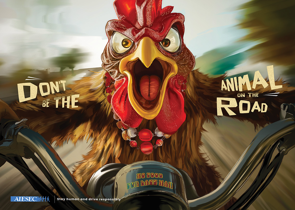 Animals on the Road