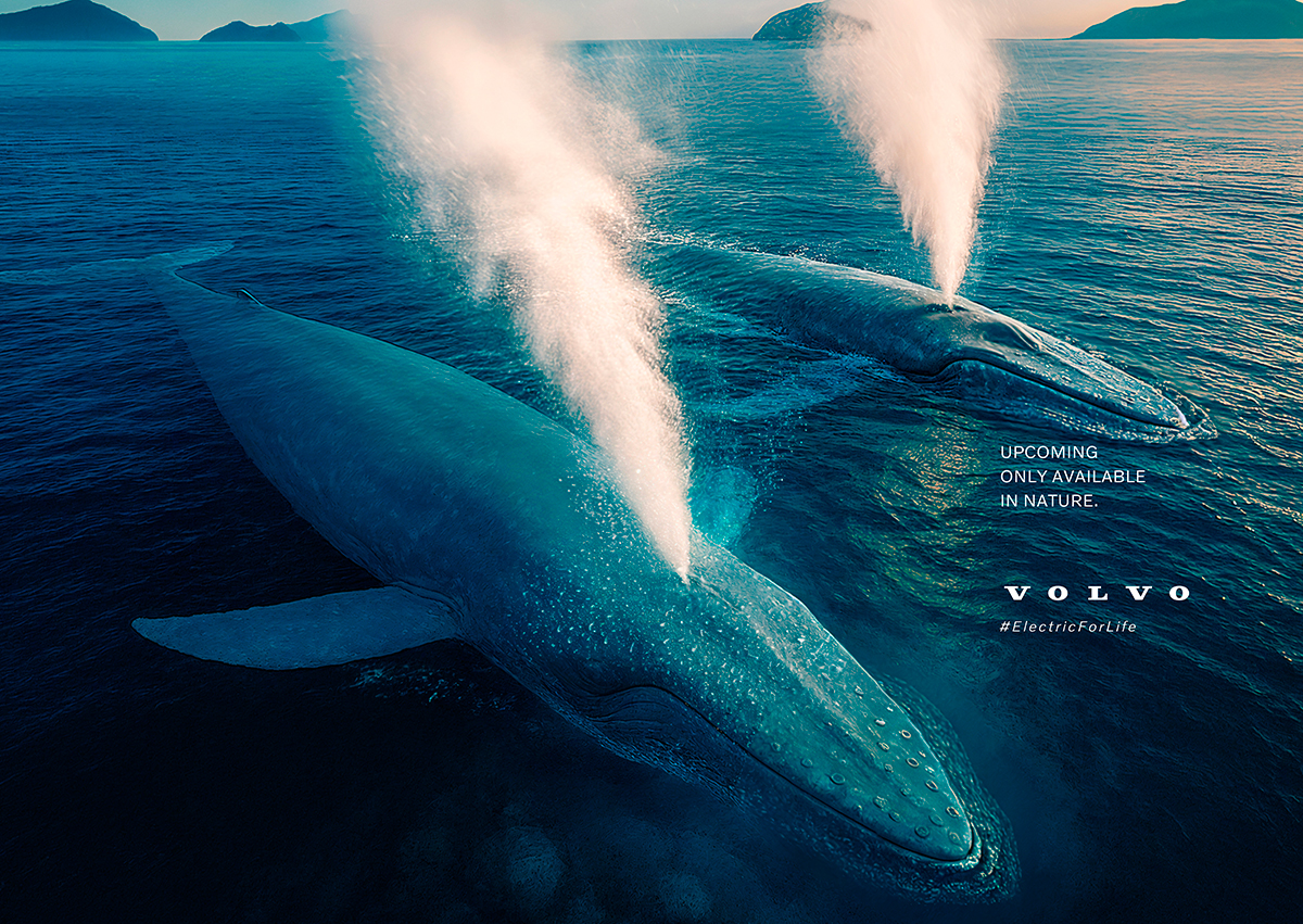 Available Only In The Nature