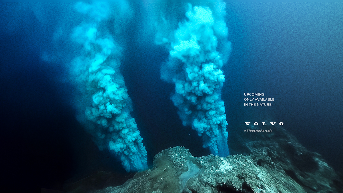 Available Only In The Nature