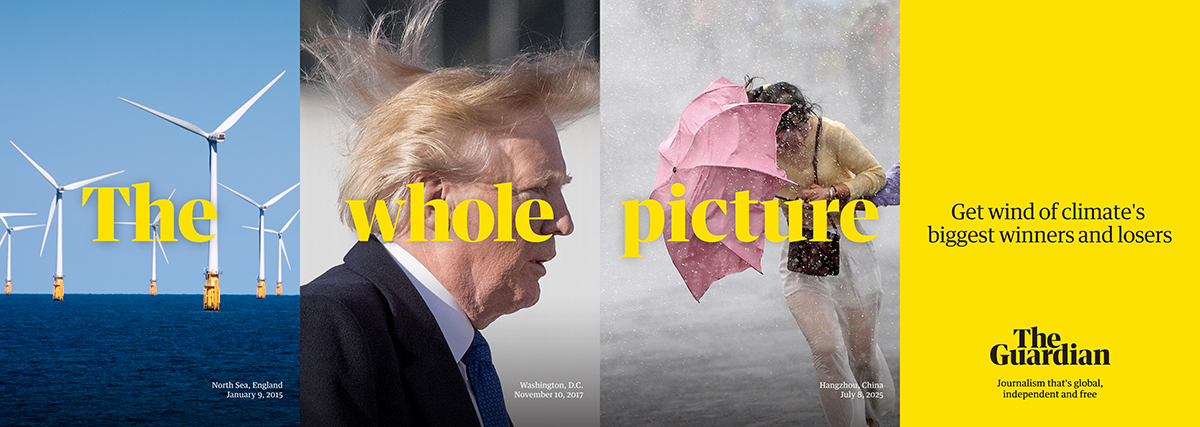 The Whole Picture